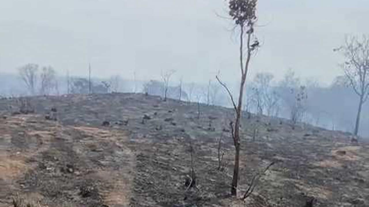 Incêndio que dura quase uma semana já consumiu área de 50 campos de futebol em João Pinheiro