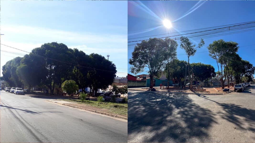 Poda de árvores na Praça da Rodoviária para aumentar a segurança reacende antiga polêmica em João Pinheiro