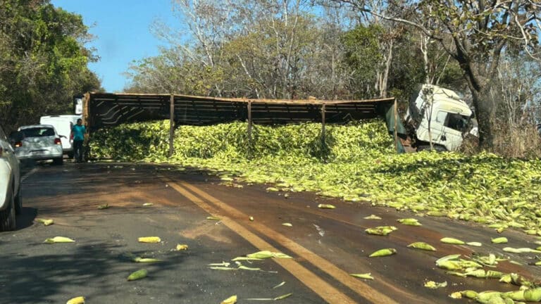 Carreta lotada de milho tomba e interdita parcialmente a MG-410, próximo a São Pedro da Ponte Firme