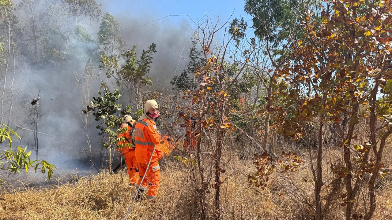 Incêndio que dura cinco dias em Brasilândia de Minas já devastou área de 8.500 campos de futebol