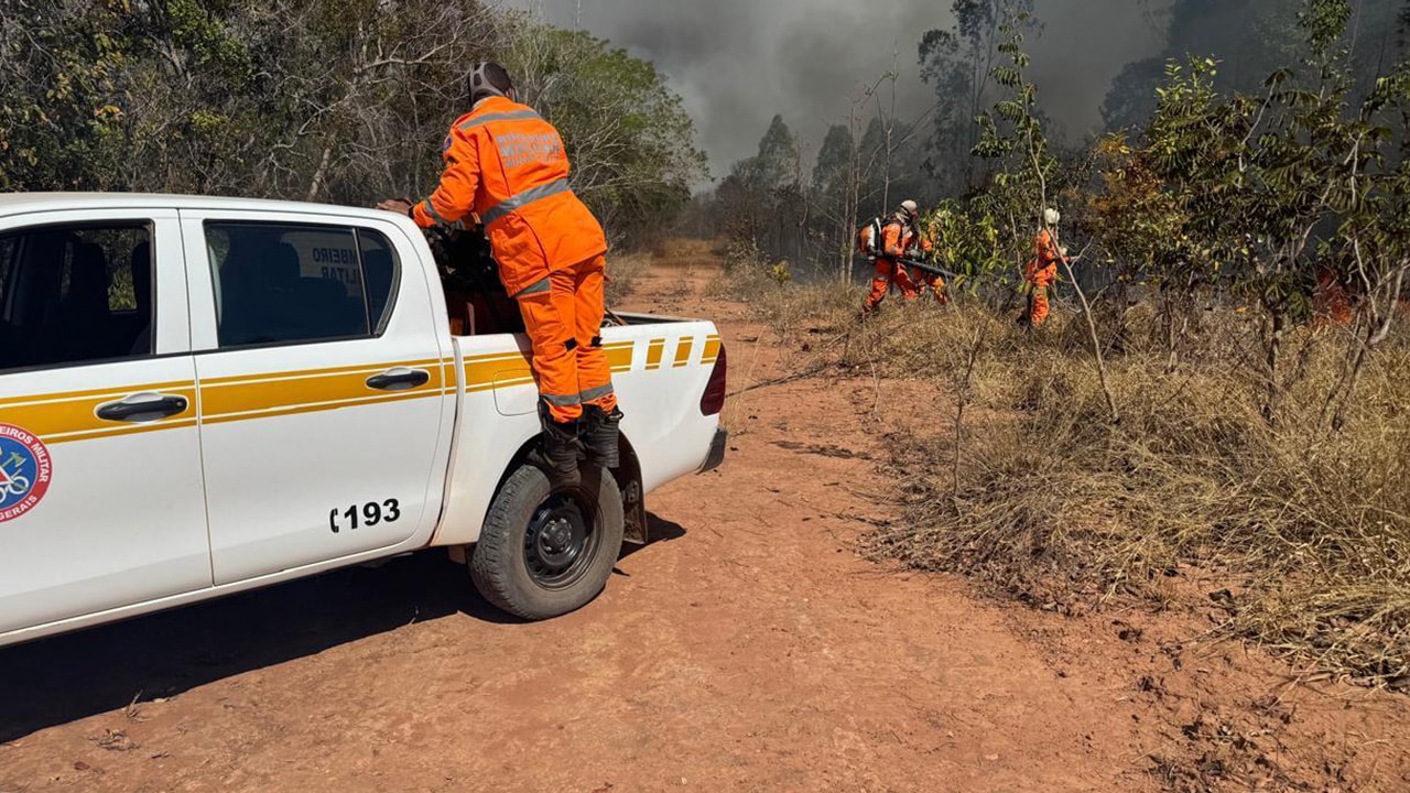 Incêndio que dura cinco dias em Brasilândia de Minas já devastou área de 8.500 campos de futebol