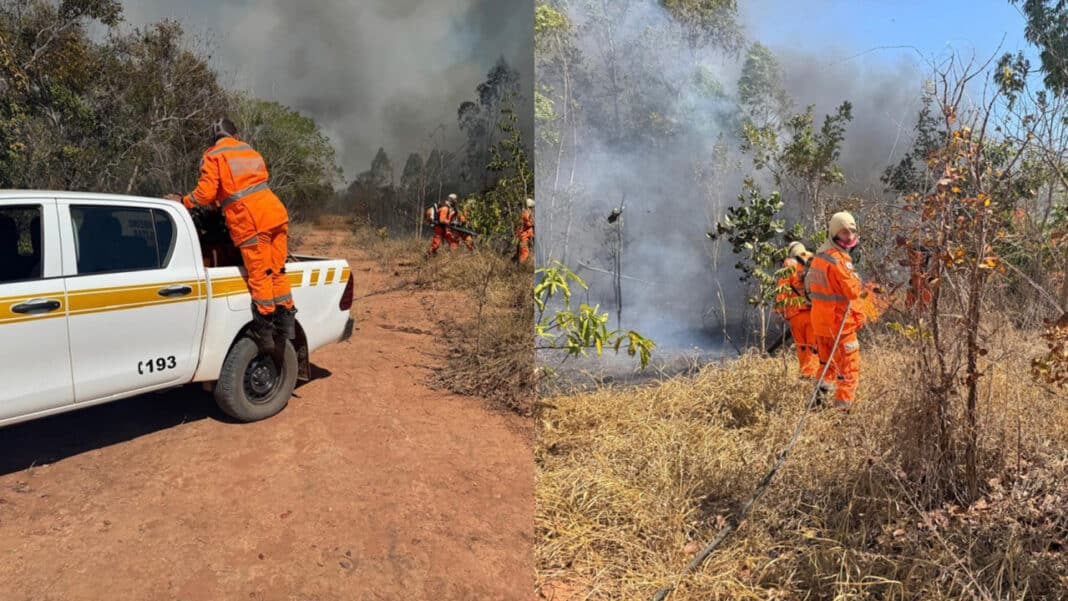 Incêndio que dura cinco dias em Brasilândia de Minas já devastou área de 8.500 campos de futebol
