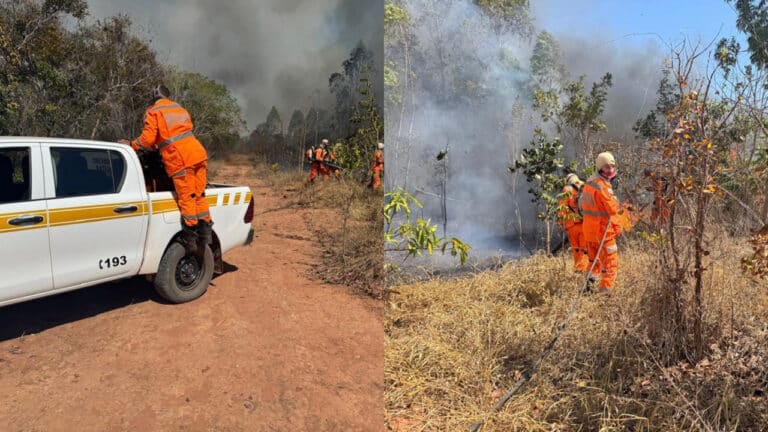 Incêndio que dura cinco dias em Brasilândia de Minas já devastou área de 8.500 campos de futebol