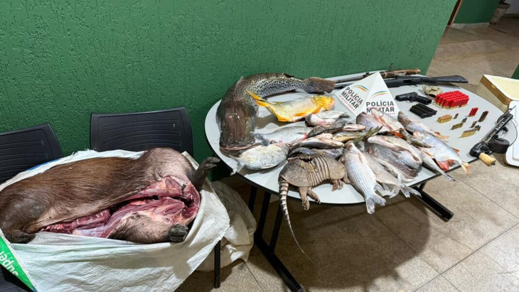 Subtenente da PM do DF e amigos são presos por caça de tatu, capivara e peixes em Natalândia