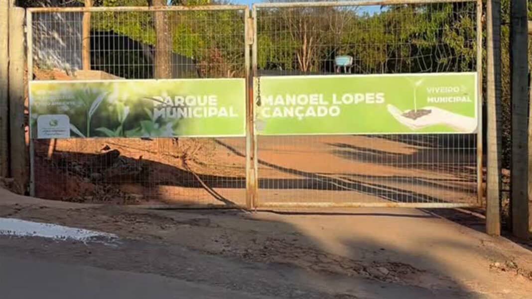 Ladrões levam de maquita a panela de pressão em novo furto ao Viveiro Municipal de João Pinheiro