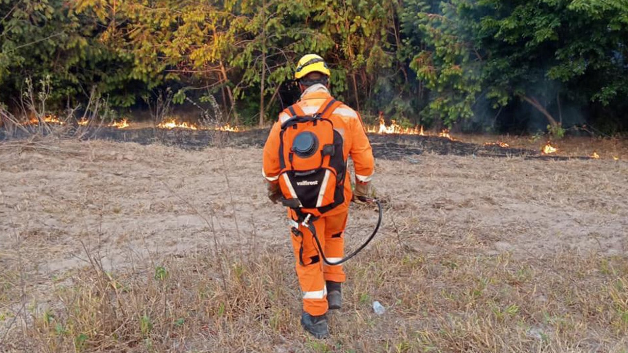 Fogo na Fruta d'Antas se aproxima de escola, suspende aulas e mobiliza moradores e bombeiros em João Pinheiro