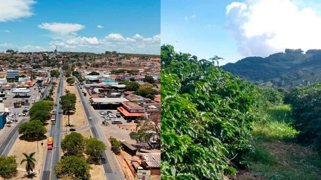 Vai ser em João Pinheiro! Município é escolhido para sediar a maior fazenda de café arábica do mundo