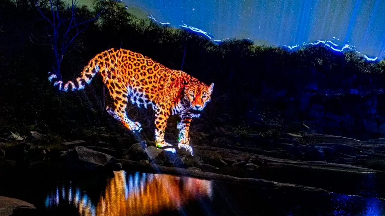 Praça Redonda vai virar palco de espetáculo de luzes, música e cultura popular em João Pinheiro