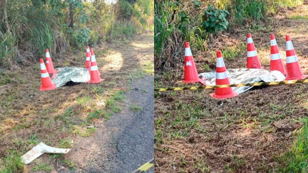 Homem morre atropelado na BR-040 em João Pinheiro; corpo foi encontrado às margens da rodovia