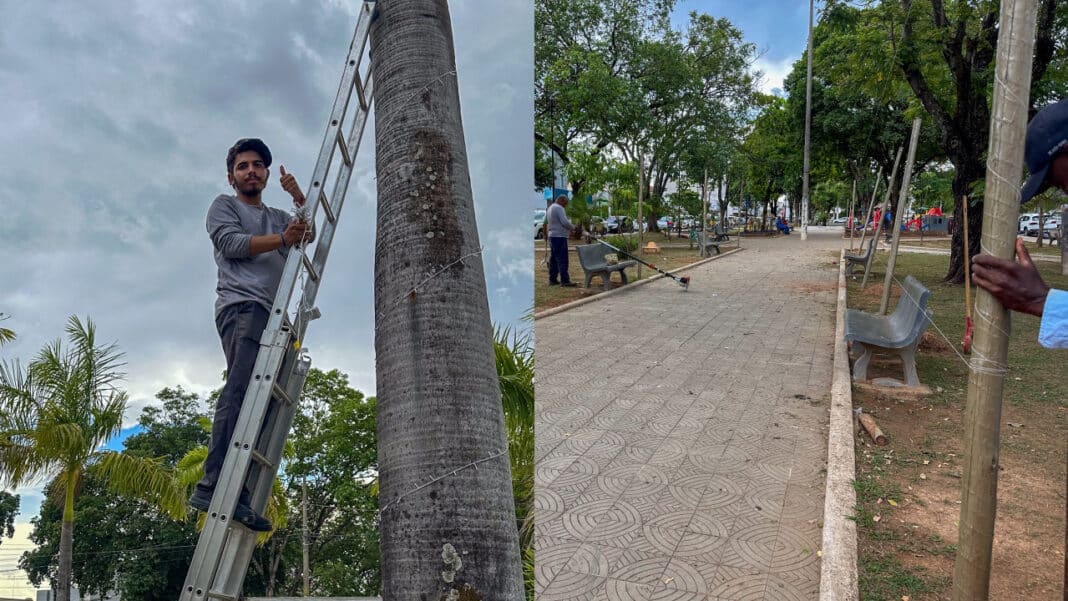 Prefeitura começa montagem de decoração de Natal na praça central de João Pinheiro