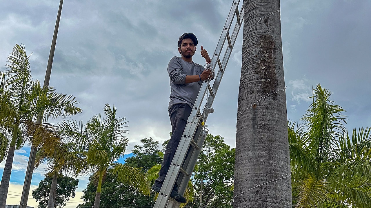 Prefeitura começa montagem de decoração de Natal na praça central de João Pinheiro