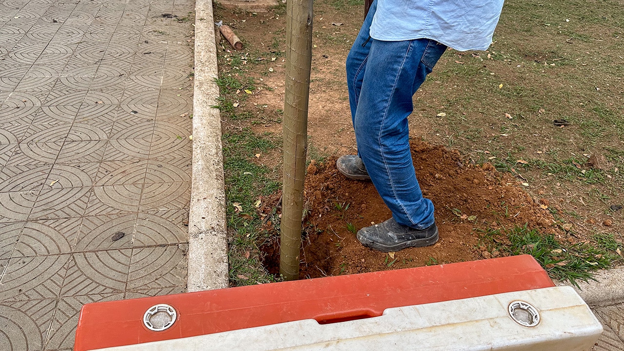 Prefeitura começa montagem de decoração de Natal na praça central de João Pinheiro