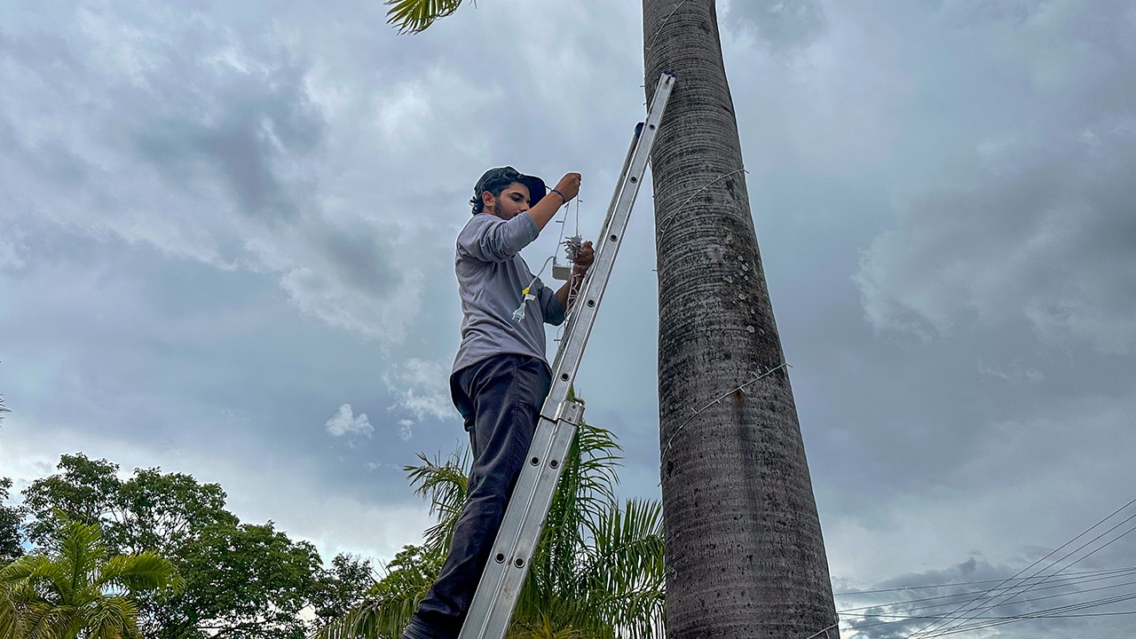 Prefeitura começa montagem de decoração de Natal na praça central de João Pinheiro