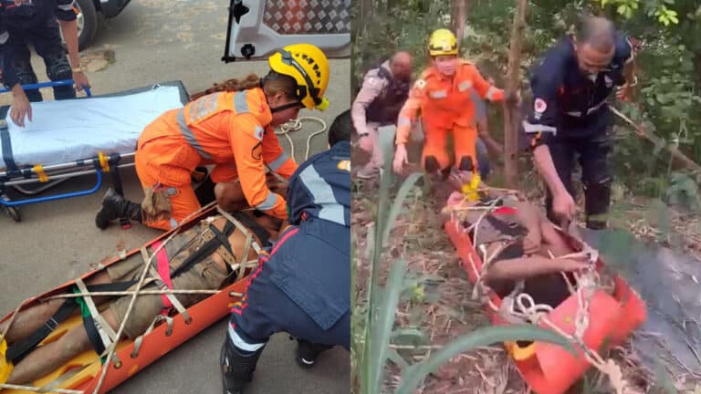 Homem cai em buraco de 50 metros e sobrevive quatro dias comendo mangas até resgate em Minas Gerais