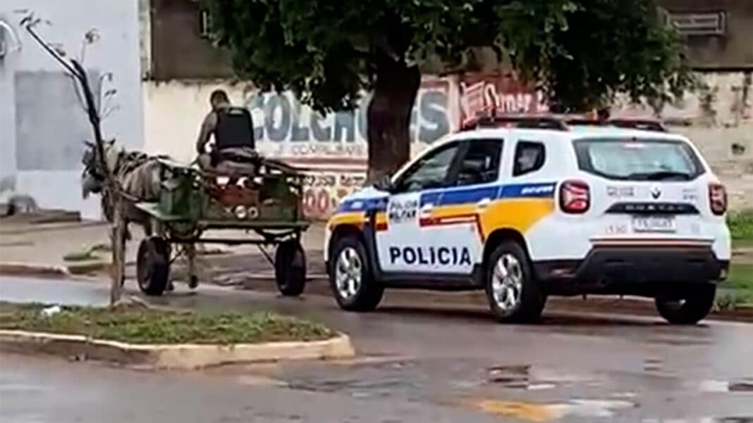 Só em Minas Gerais mesmo! Policial assume a direção de carroça após prender ladrão em Arinos
