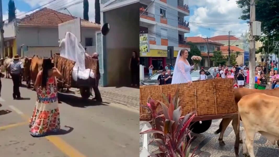Noiva resgata raízes e chega de carro de boi para casamento em Minas Gerais; vídeo viraliza