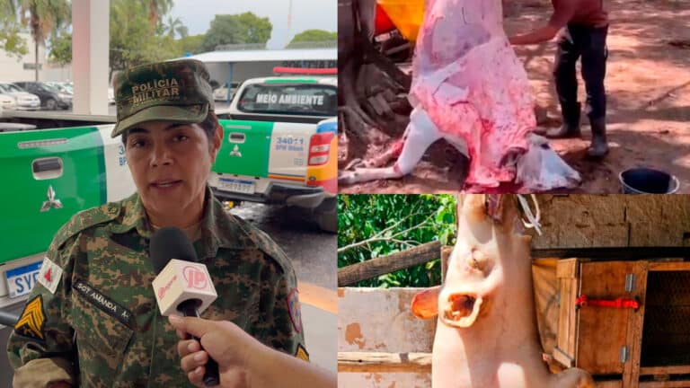 Mesmo após operações, abate clandestino persiste em João Pinheiro e Polícia Ambiental faz duro alerta 