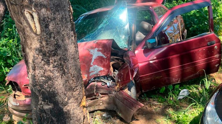 Seis pessoas ficam feridas após carro sair da pista e atingir árvore na BR-040 em João Pinheiro