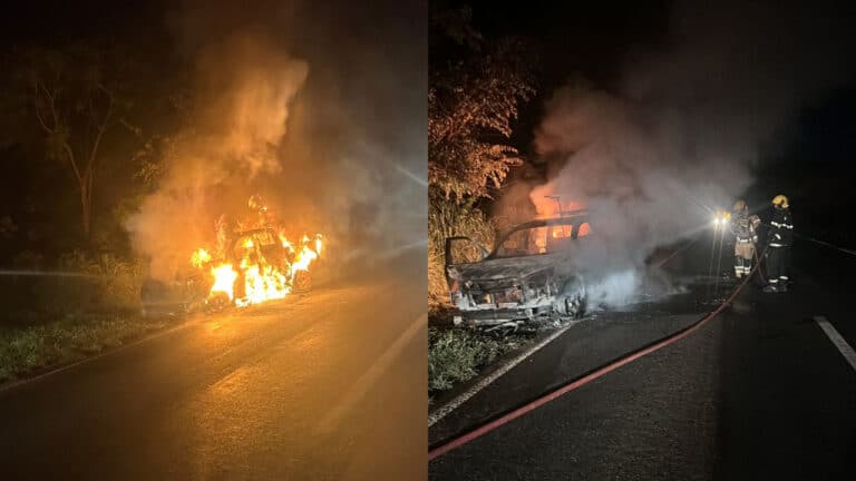 Camionete S10 pega fogo e fica totalmente destruída na BR-040 em João Pinheiro