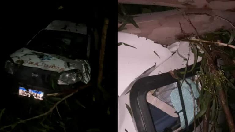 Tempestade derruba árvore e atinge ambulância no Centro Administrativo de João Pinheiro