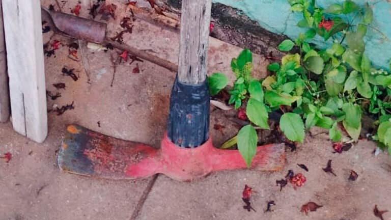Mulher se esconde na vizinha após marido pegar picareta e correr atrás dela para matar em João Pinheiro