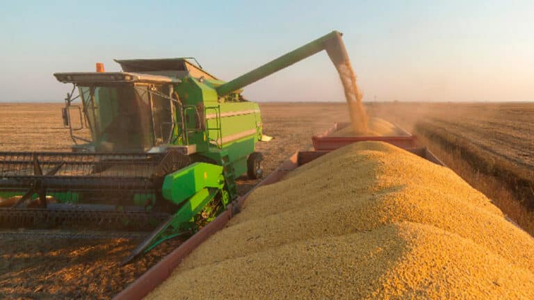 Tá fácil não! Agro e serviços lideram recuperação extrajudicial no Brasil com R$ 41 mi em dívidas