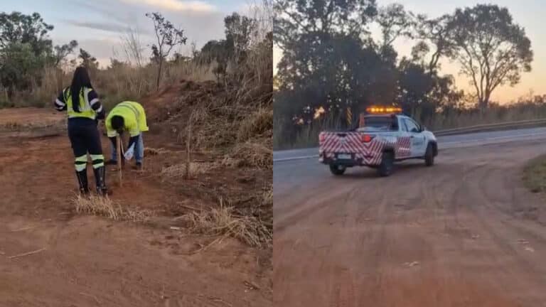 Revolta! Moradores limpam lixão na entrada do Vista Alegre e têm placas arrancadas pela VIA Cristais em João Pinheiro