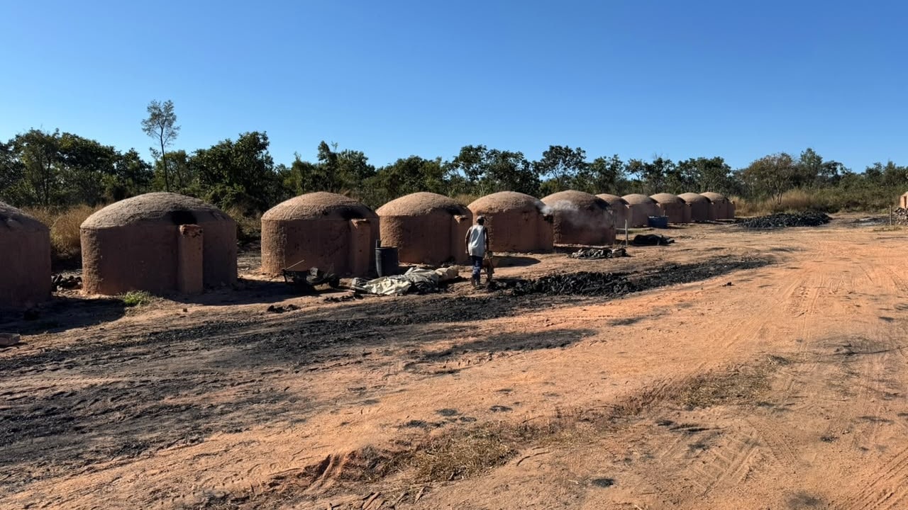 Sem banheiro, sem salário e dívida forçada! homens são resgatados de carvoaria como escravos em Presidente Olegário