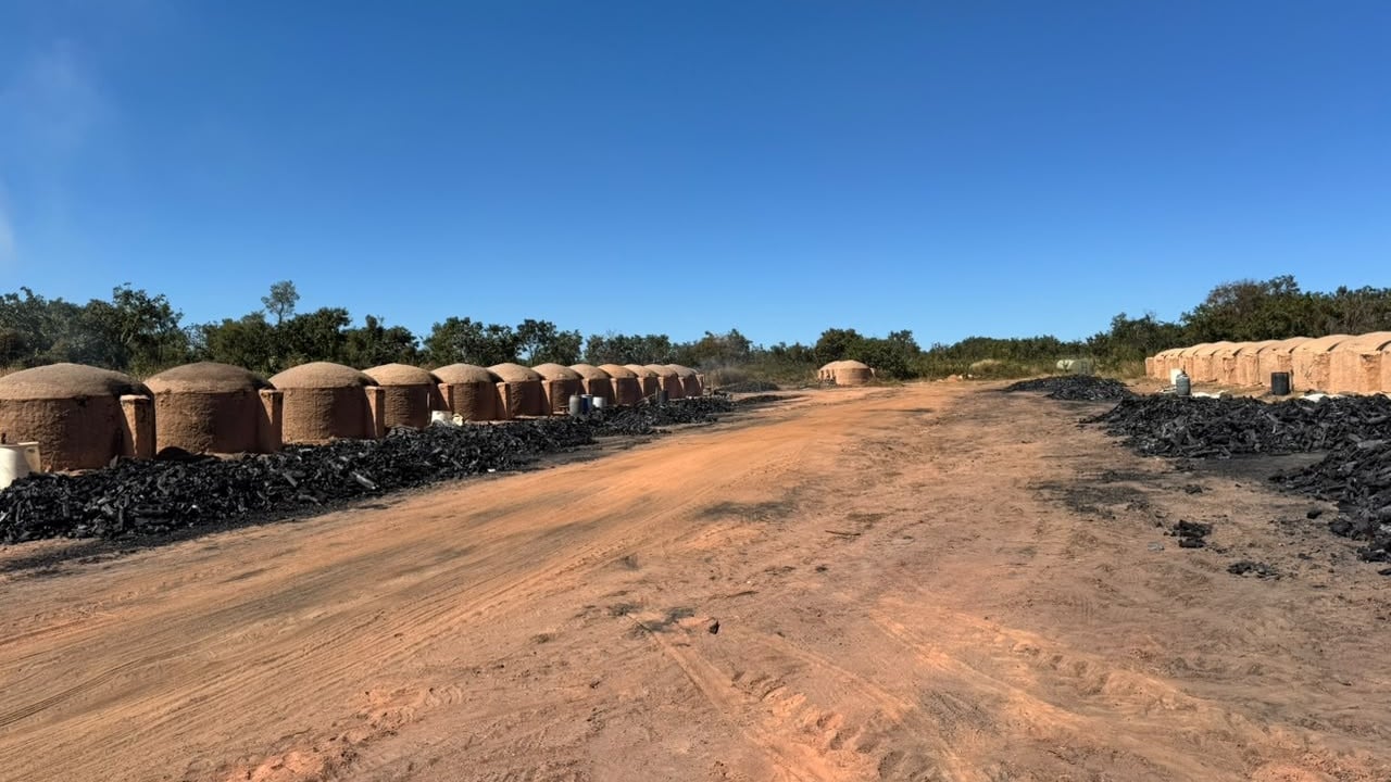 Sem banheiro, sem salário e dívida forçada! homens são resgatados de carvoaria como escravos em Presidente Olegário