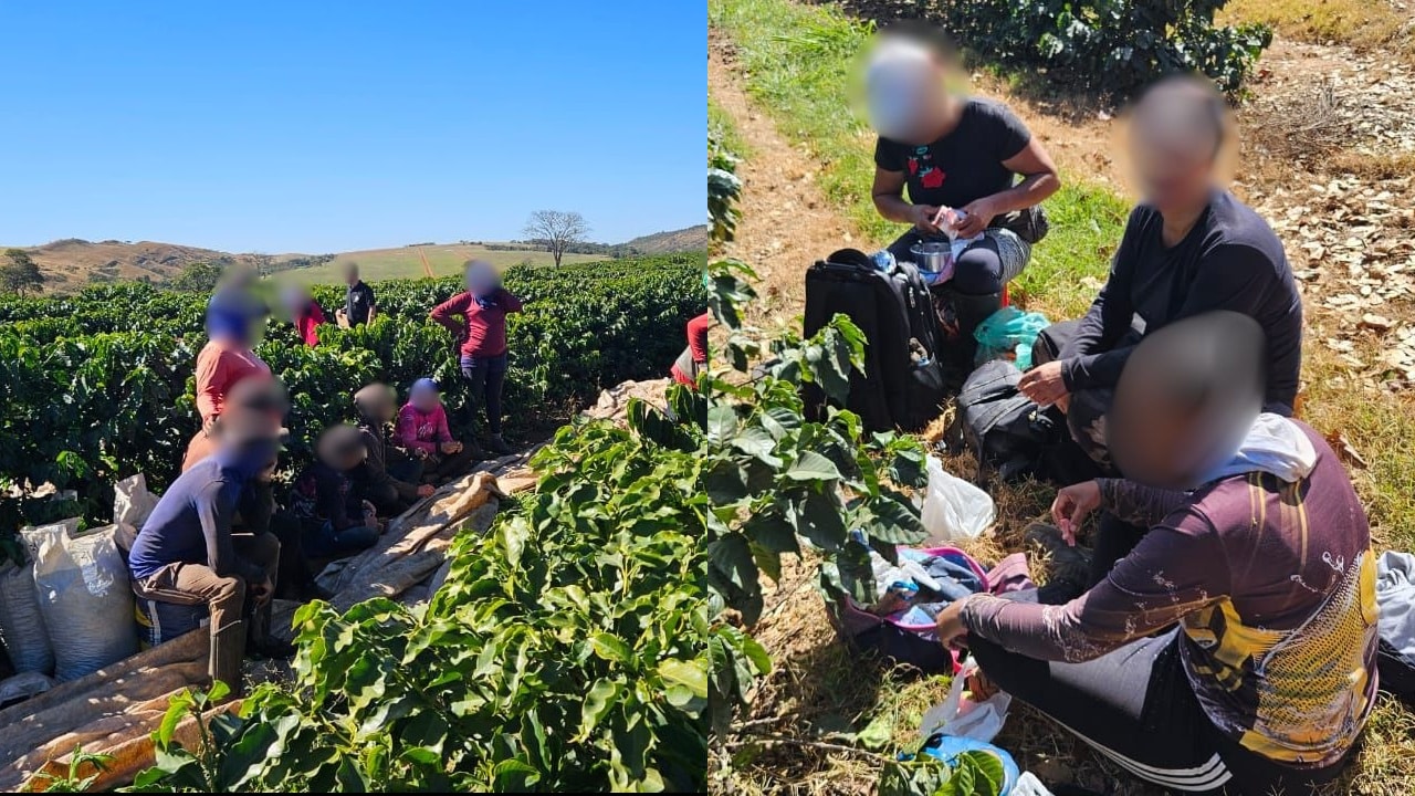 Vergonha! Trabalhadores mantidos como escravos, sem água, banheiro e registro são resgatados de fazenda de café