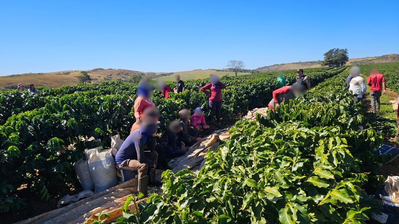 Vergonha! Trabalhadores mantidos como escravos, sem água, banheiro e registro são resgatados de fazenda de café
