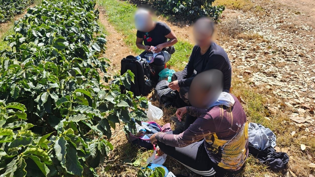 Vergonha! Trabalhadores mantidos como escravos, sem água, banheiro e registro são resgatados de fazenda de café
