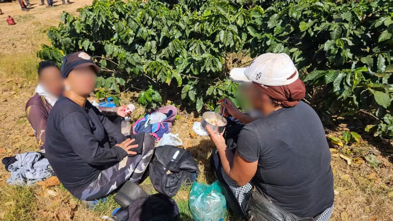 Vergonha! Trabalhadores mantidos como escravos, sem água, banheiro e registro são resgatados de fazenda de café