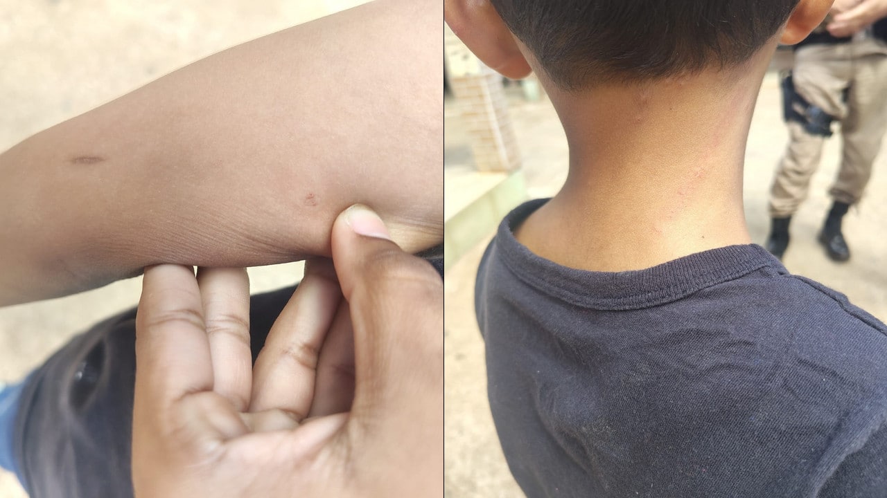 Mulher é presa por agredir criança que teria se desentendido com o filho em escola de João Pinheiro
