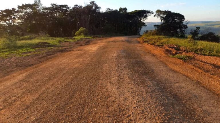 Corpo em decomposição é encontrado ao lado de preservativos às margens da MGC-354, em Patos de Minas