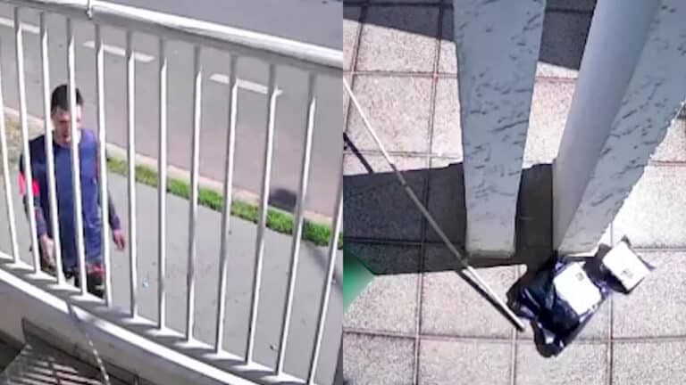 Se usasse a mesma criatividade para trabalhar? Câmeras flagram jovem usando vara para furtar encomendas