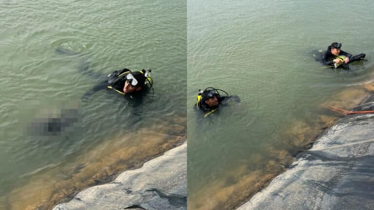 Tragédia! Homem morre afogado em lagoa de irrigação de 12 metros de profundidade em Lagoa Grande