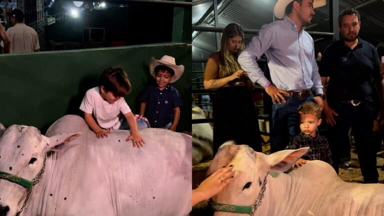 Você já foi ver? Pavilhão de animais reabre após 20 anos e vira atração da festa dos 115 anos de João Pinheiro