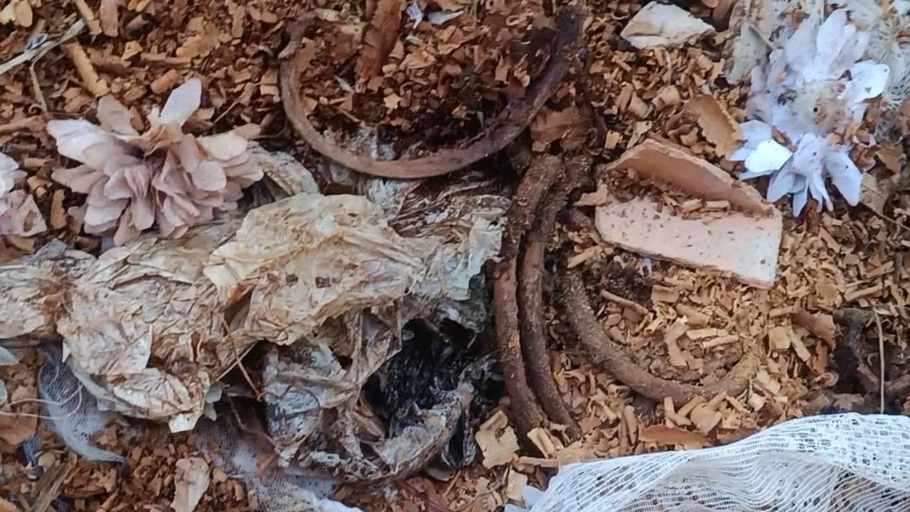 Caixão com ossos é encontrado fora do muro do Cemitério Municipal de Varjão de Minas e assusta moradores