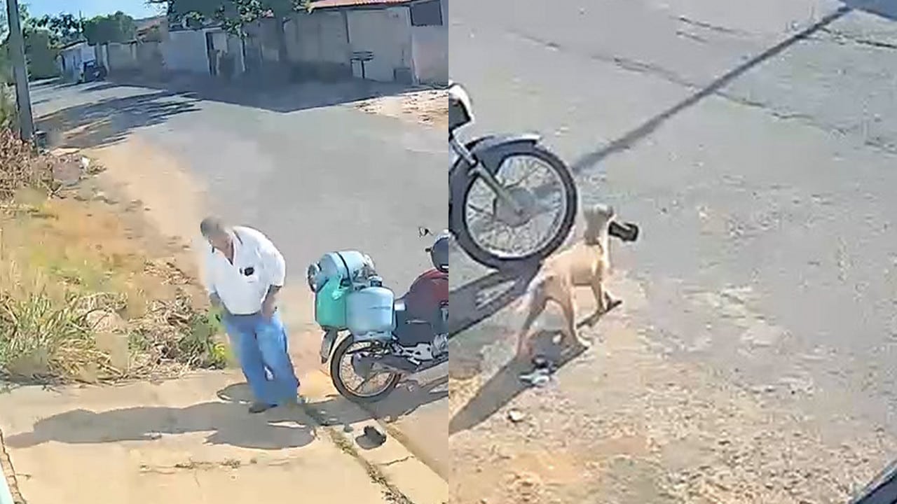 Ladrão diferente: câmera flagra caramelo "furtando" bolsa de entregador de gás no bairro Aeroporto, em João Pinheiro