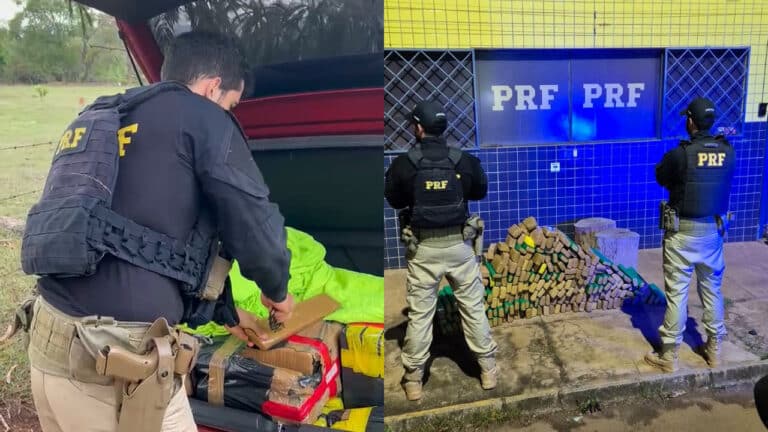Fugiu pela contramão, correu para a mata e acabou preso: PRF apreende 194 kg de maconha em Patos de Minas