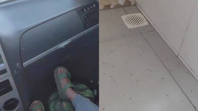 Muriçoca de carona! Morador mostra carro cheio de pernilongos e infestação tira o sono de bairros de João Pinheiro